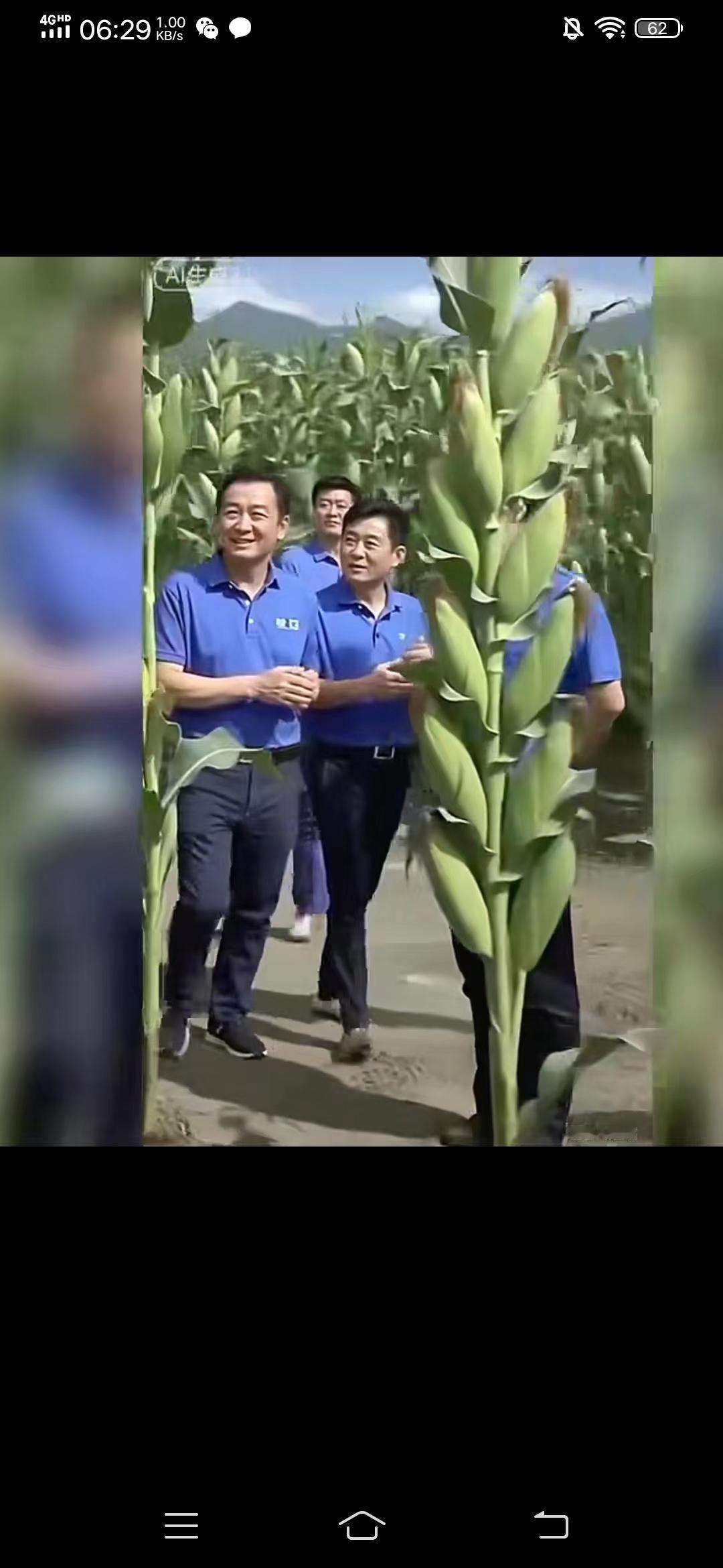 感谢专家培育高产玉米
这些专家农民兄弟就喜欢了！我就担心这苞谷是真的还是假的？