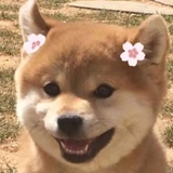 玥玩玩法律