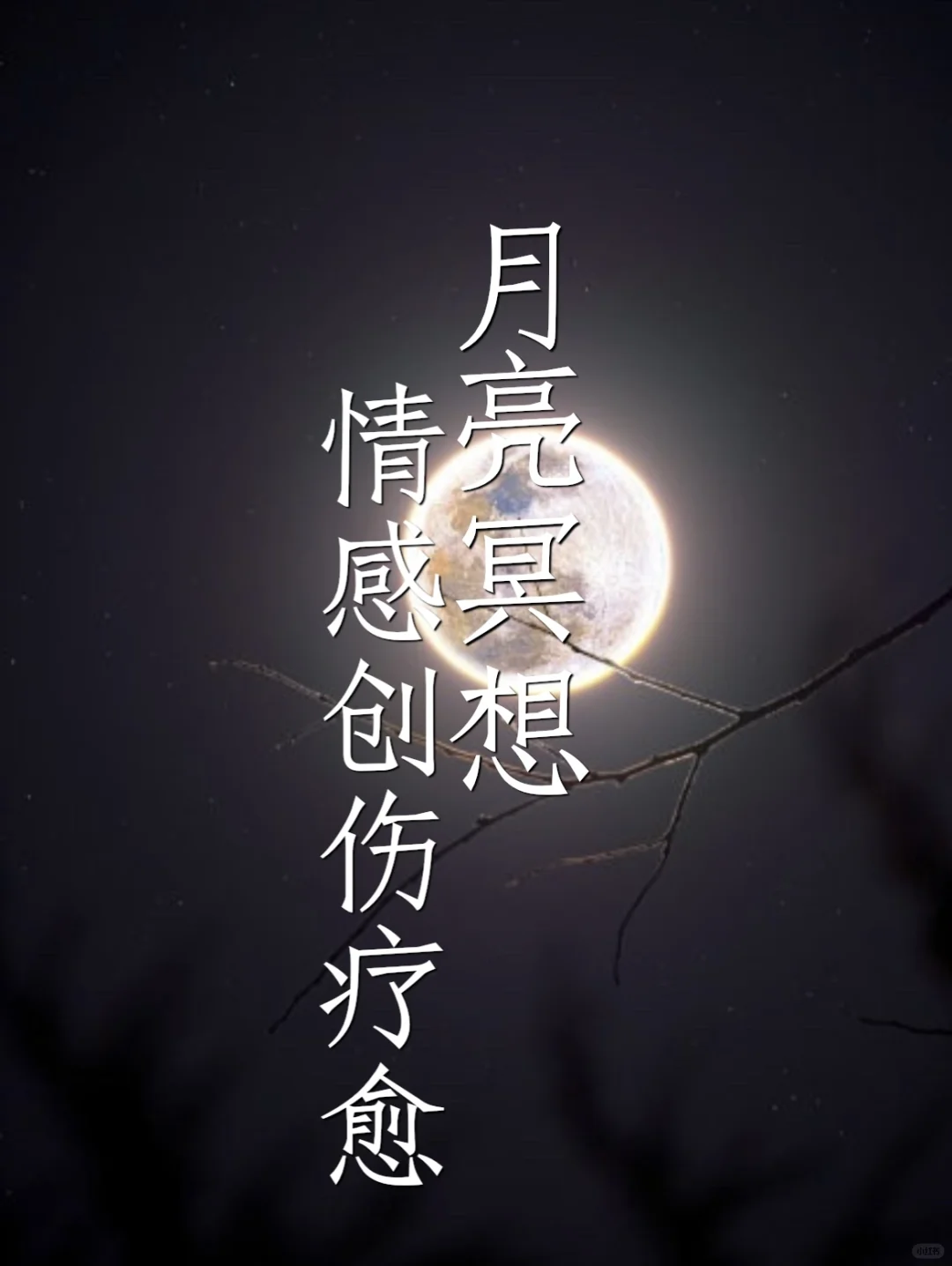 月球有一种强大的磁力。
当我们意识到如何激huo它的zhi愈能力时，它将帮助我们...