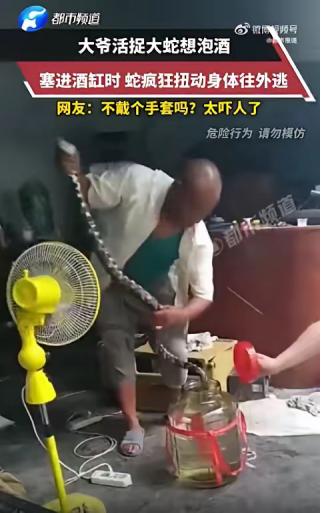 太勇了！广东一大爷活捉大蛇想泡酒，徒手就往酒缸里塞，大蛇拼死挣扎，这惊险场面看得