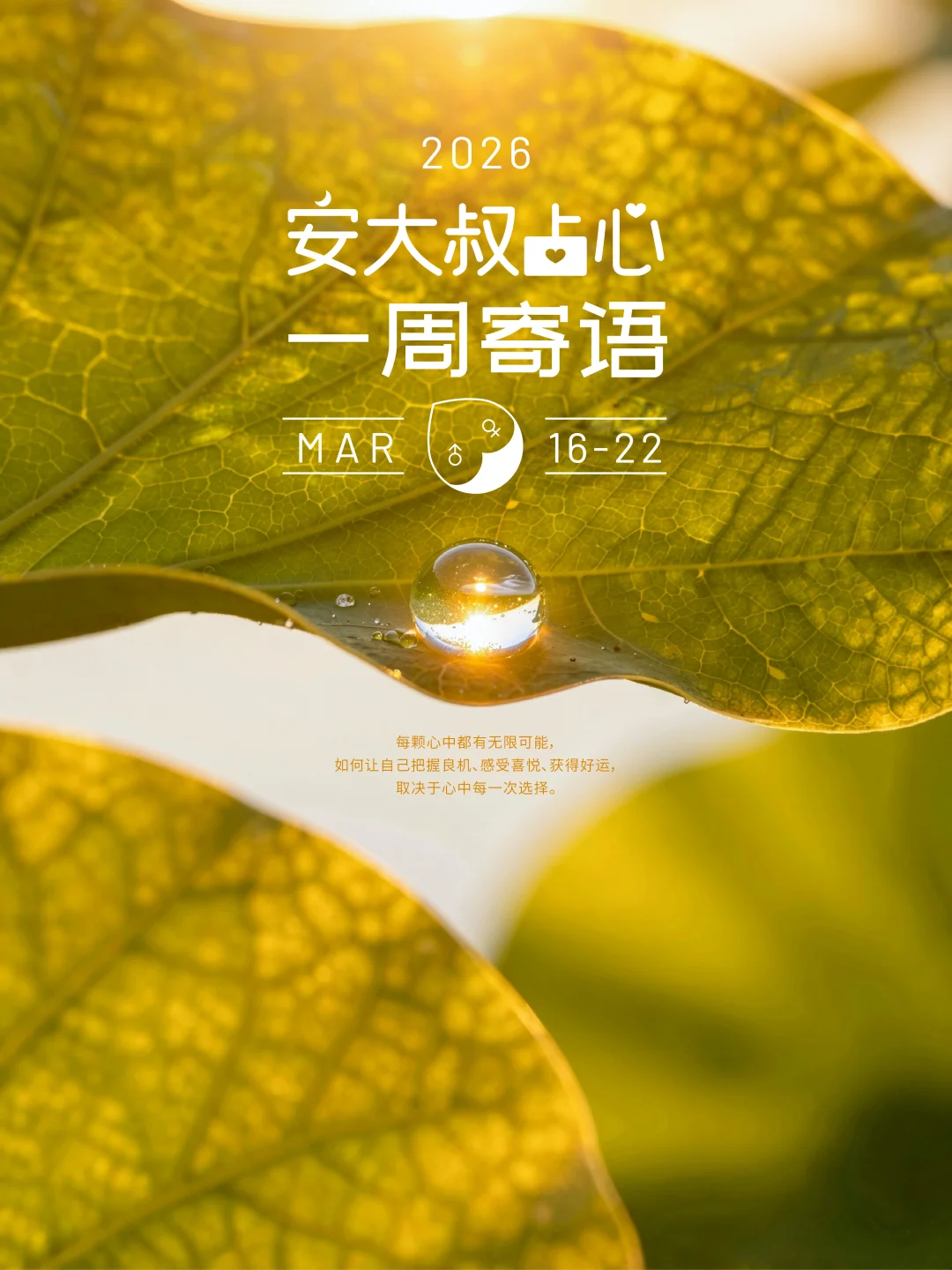 乐在心中|安大叔占心每周寄语2026.3.16-22