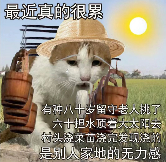 一些实用的表情包 ​​​
