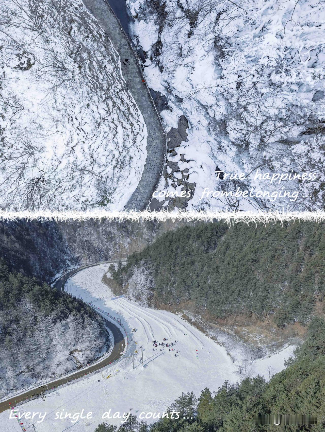 🌨️秦岭深处，藏着陕南独有的冰雪温柔

一场冬雪过后，我发现了秦岭里的宝藏打卡