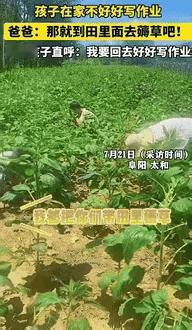 这爹真够“虎”的！就在7月22号，安徽一位老爸，被家里仨“小祖宗”气得不轻。暑假