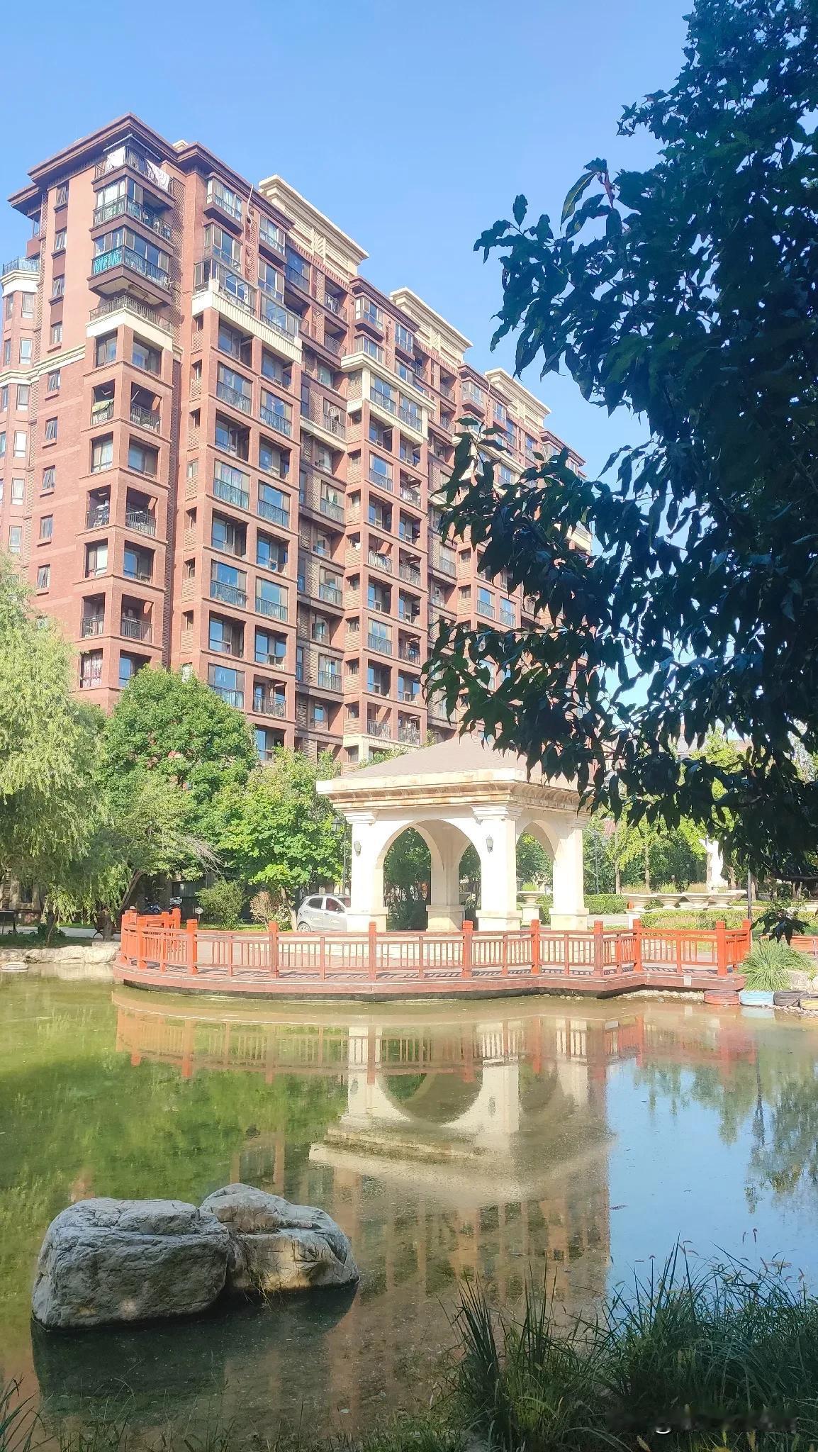 “七月十五张嘴儿，八月十五蹬腿儿”
过去在老家，经常会听到老人们这样说蚊子

但