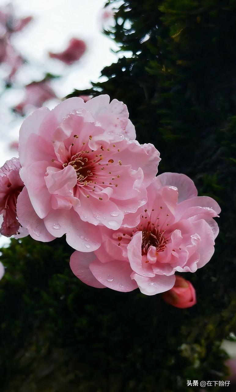 二月的最后一天，
小雨。

二月是最短的一个月，
开支最多的一个月，
上班最少的