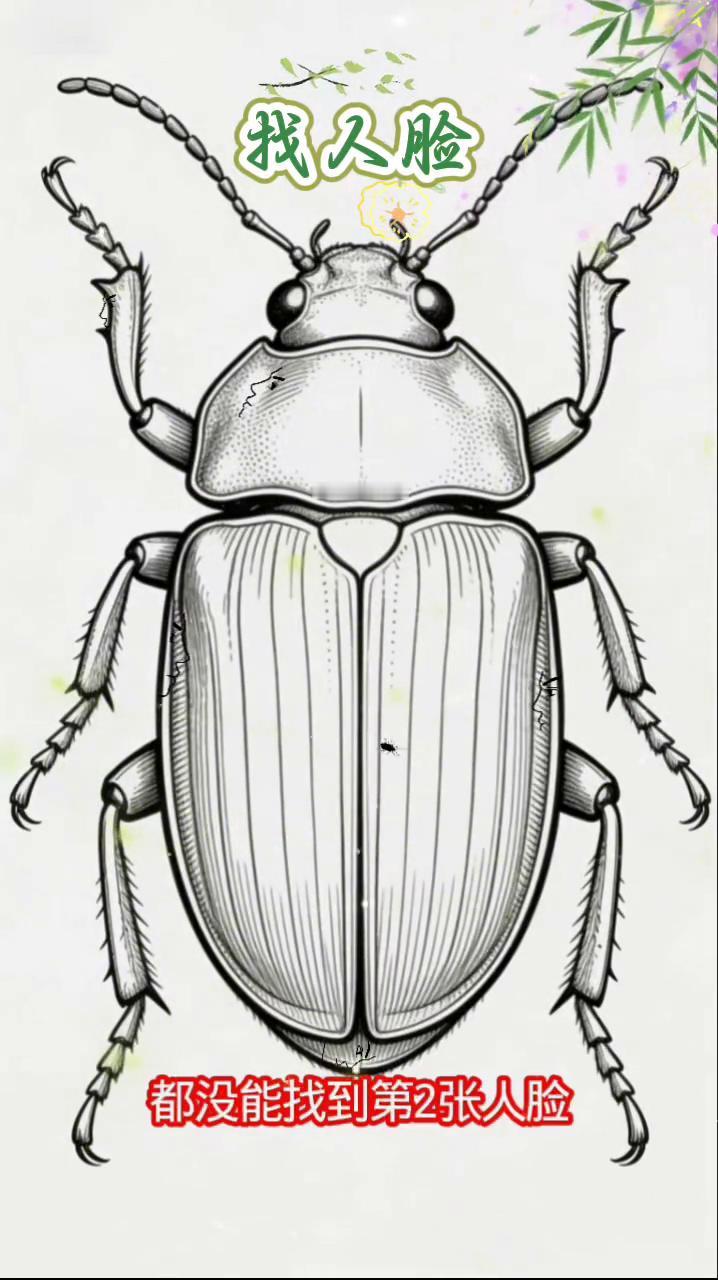 找人脸。
请看这张图，图中隐藏有多张人脸，问过九十九个人都没能找到第二张人脸，我