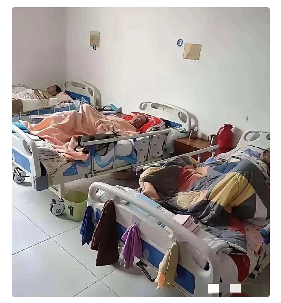 今天在养老院看到的一幕，真是令人感慨万千！人这一辈子，辛辛苦苦养儿育女，到底是图