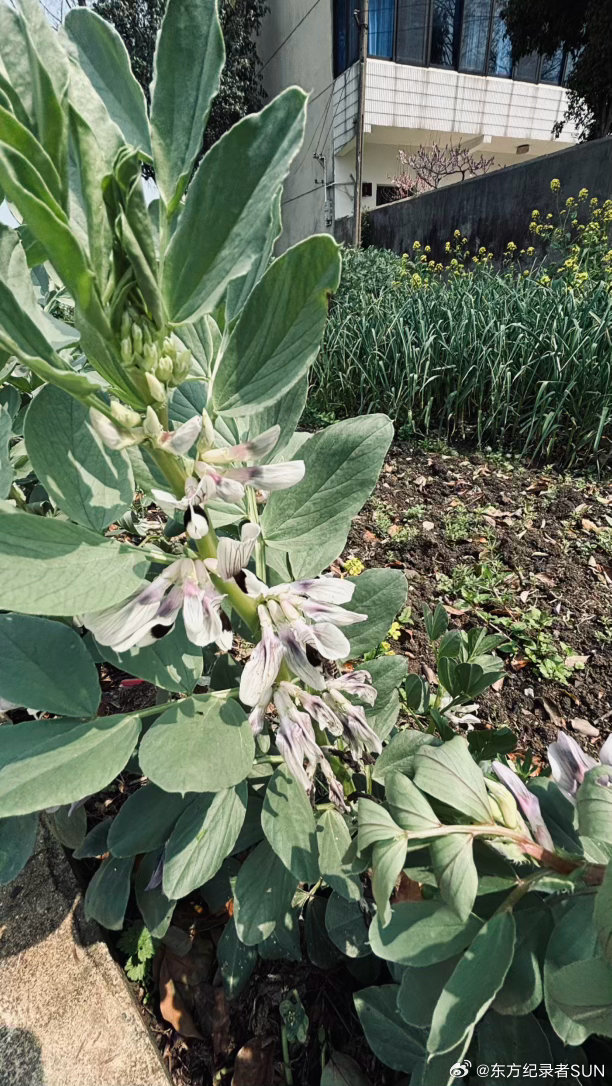 智力贬值潮来袭：2026年，智力贬值潮正加速席卷全球，AI普及让知识储备与基础脑