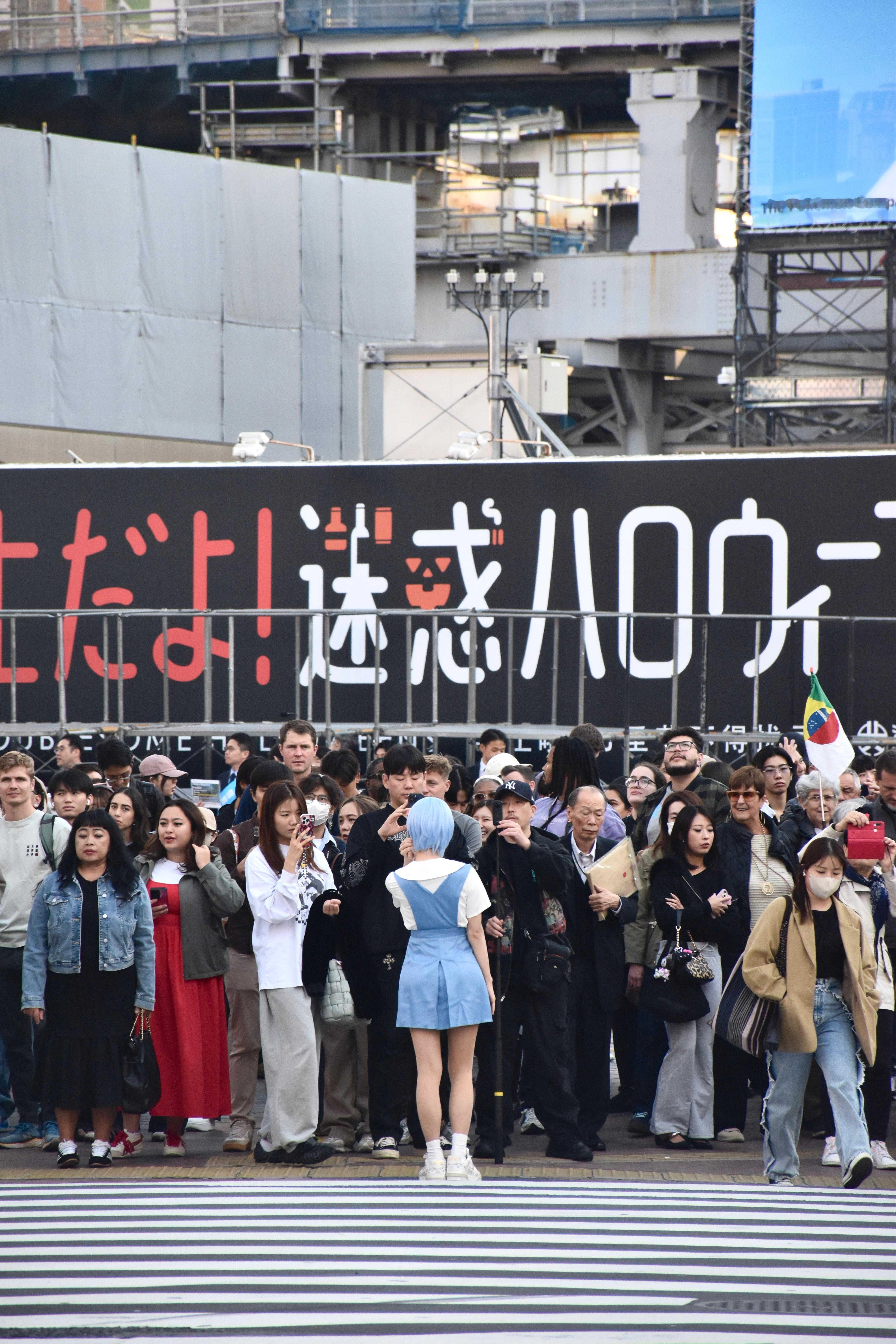 绫波丽四连拍  ​​​