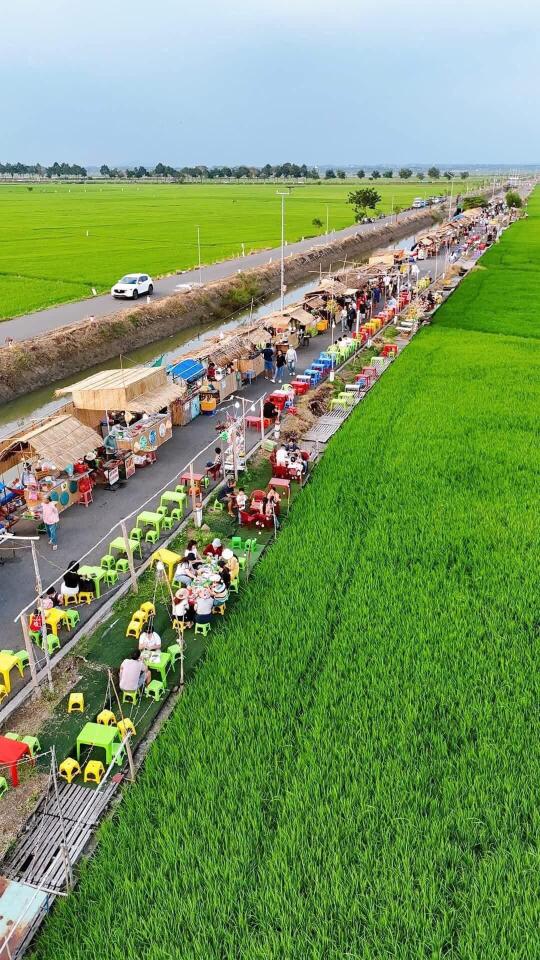 越南乡下大集，在希望的田野上……