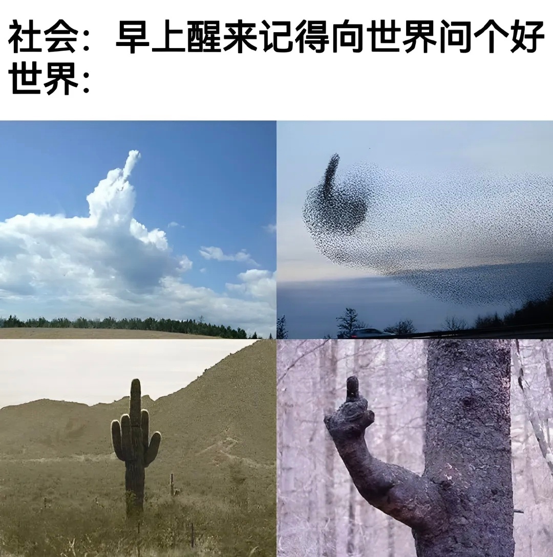 分享图片 
