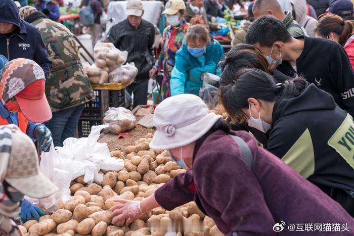 第一次对东北早市的早有了实感别以为七八点才算早，东北早市天没亮就热闹全开，刚出锅