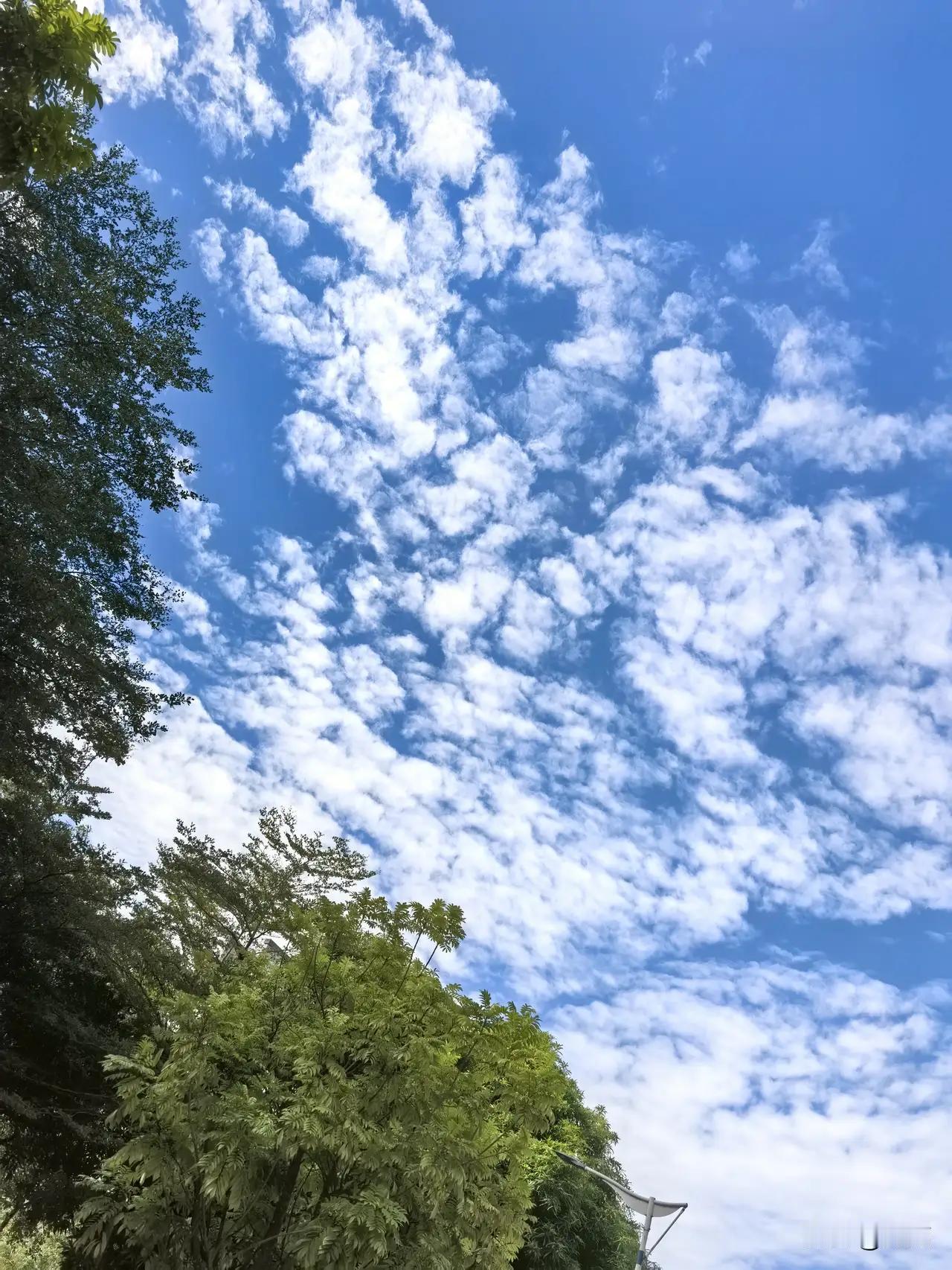 1976年出生，49岁，更年期症状突然就自己消失了

1976年出生，49岁的她