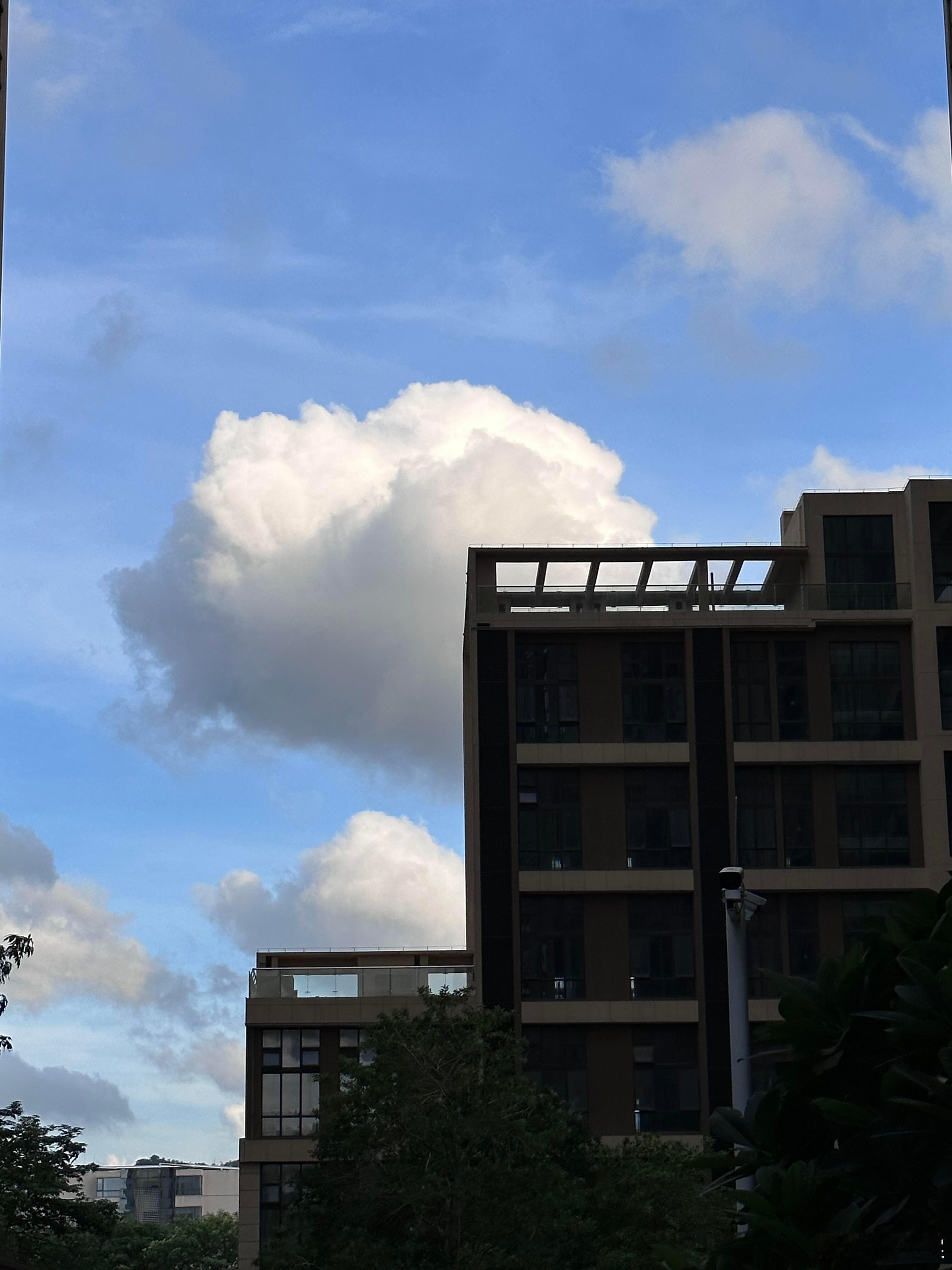 被治愈⛅️ 