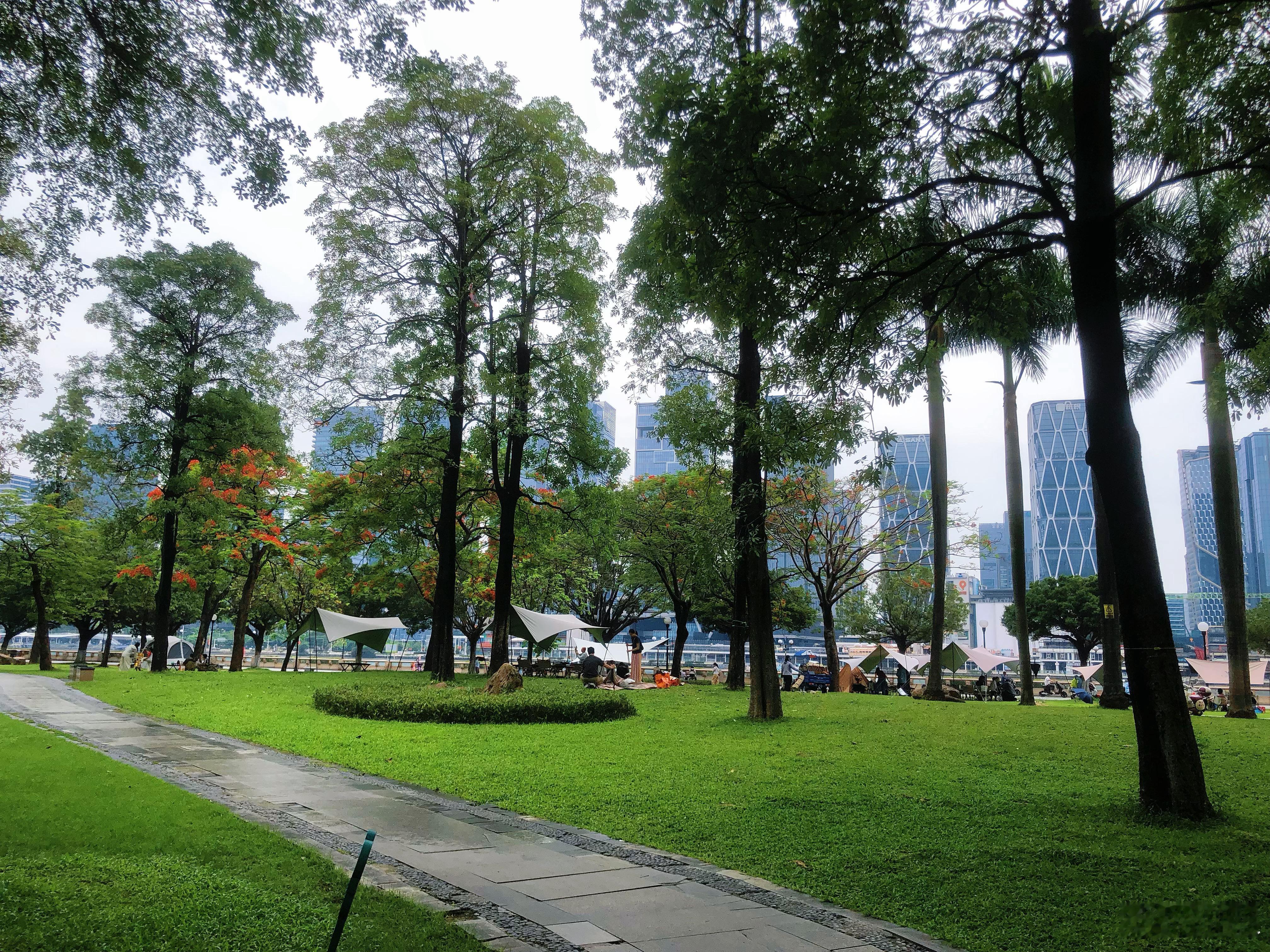 不去人挤人，本地人的假日方式，江边湖畔的草地支个帐篷🏕️发呆一整天。广州生活每