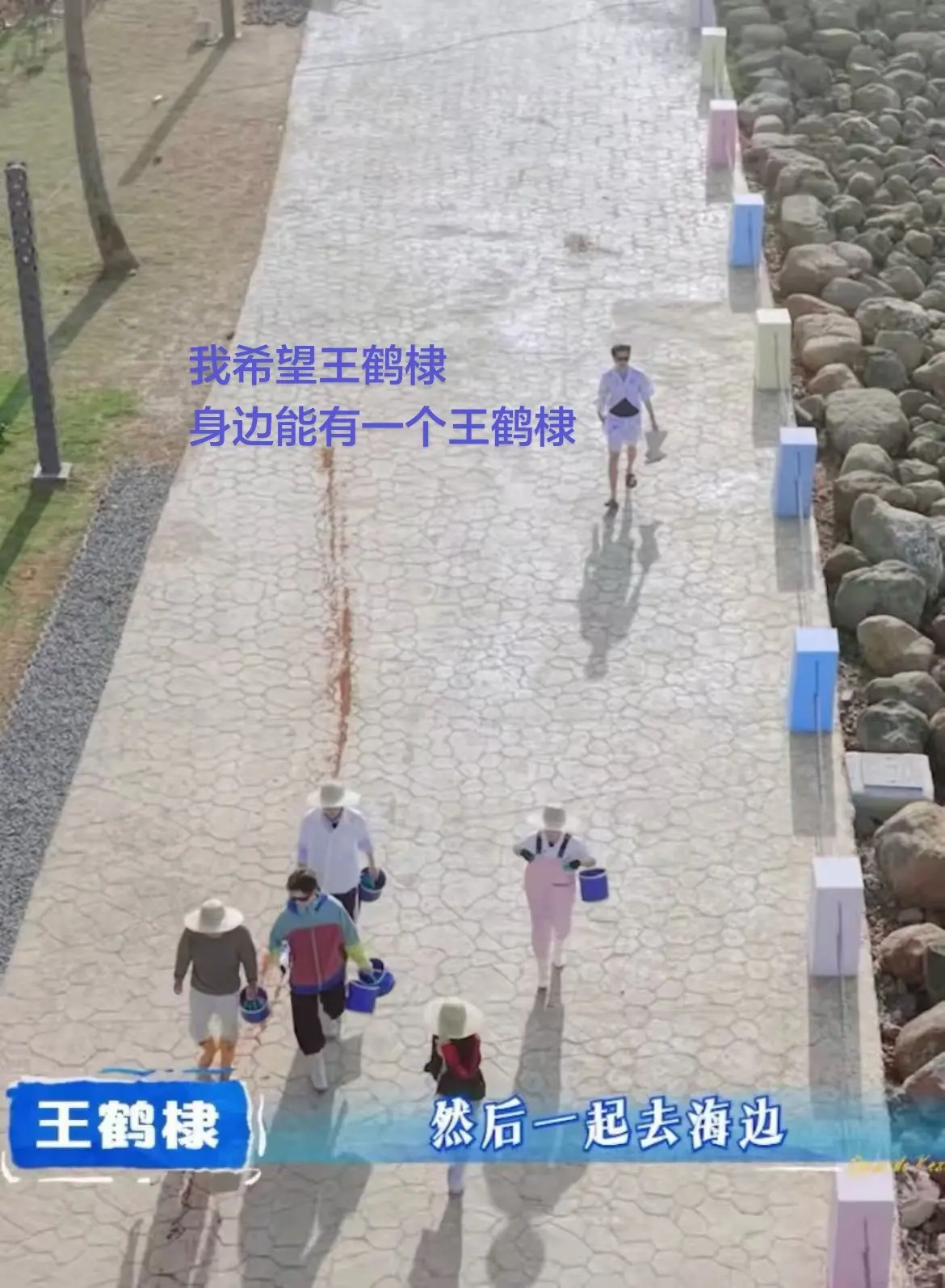 我希望 王鹤棣身边能有一个王鹤棣