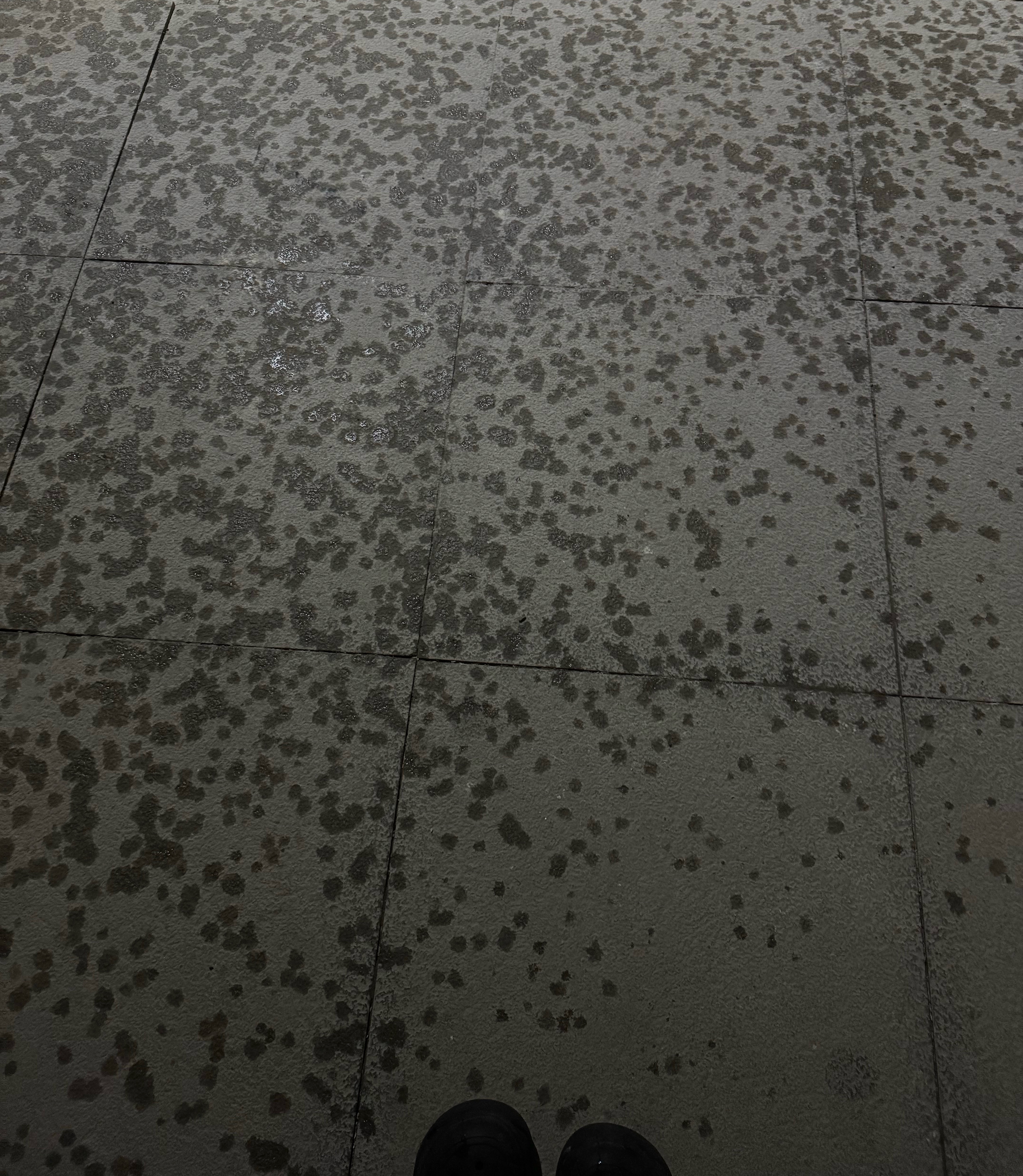 我服了，刚想出门遛个弯儿就下雨了…我需要一个健次版晴天娃娃[跪了] ​​​