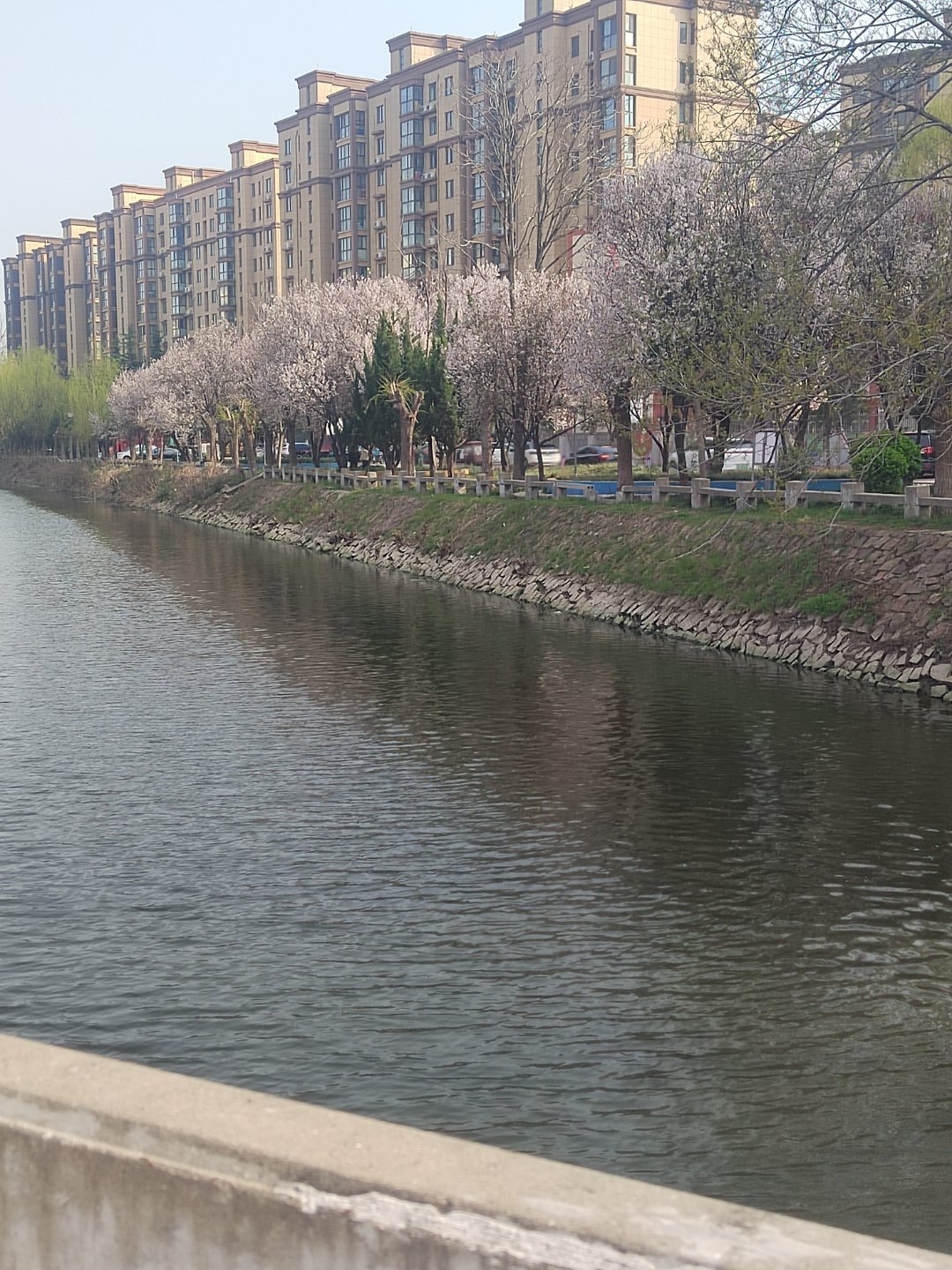 每天下午下班的这个时候就有一个卖黄瓜的流动摊贩停在小区门口前天吆喝的是“黄瓜便宜