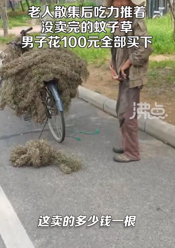 【：想起自己父亲】7月10日，山东临沂，男子偶遇下集市还没卖掉蚊子草的老人，看着