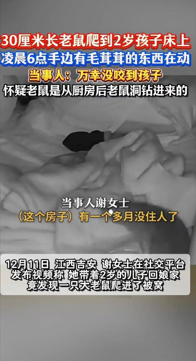江西吉安一女子带2岁孩子回娘家，凌晨竟有只30多厘米长的大老鼠爬进被窝！女子惊醒