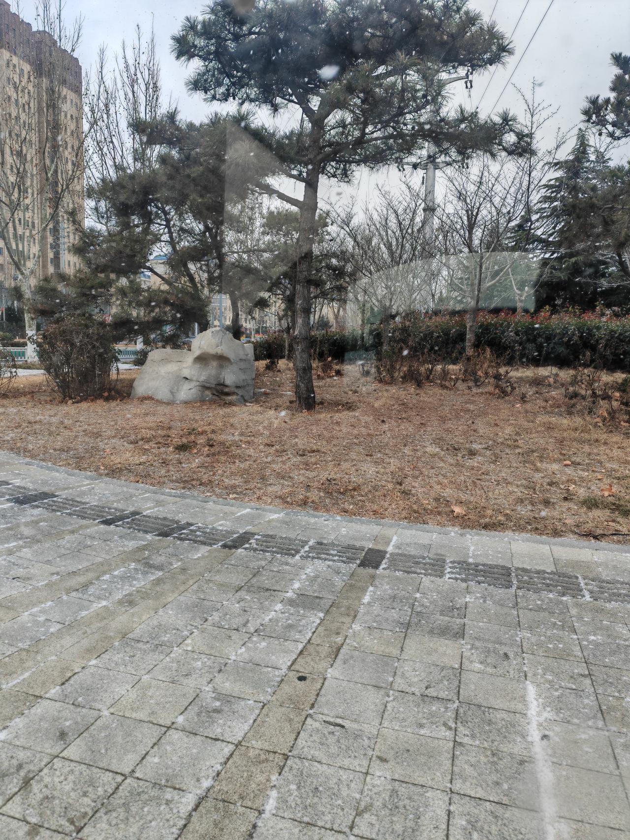 集卡领红包这样的天气好吗