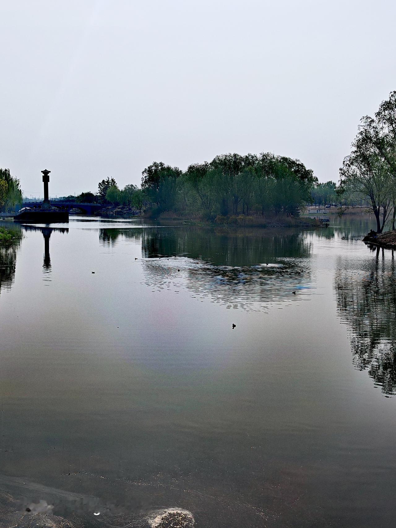 11月的朝阳区马家湾湿地公园美爆了！各处彩叶迎来最佳观赏期，金黄、橙红交织，像一