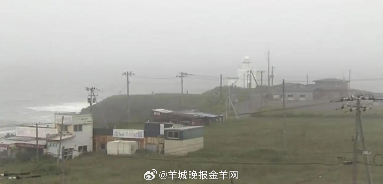 #日本北海道第一波海啸到达##俄罗斯部分地区海啸预警# 【#第一波海啸已抵达日本