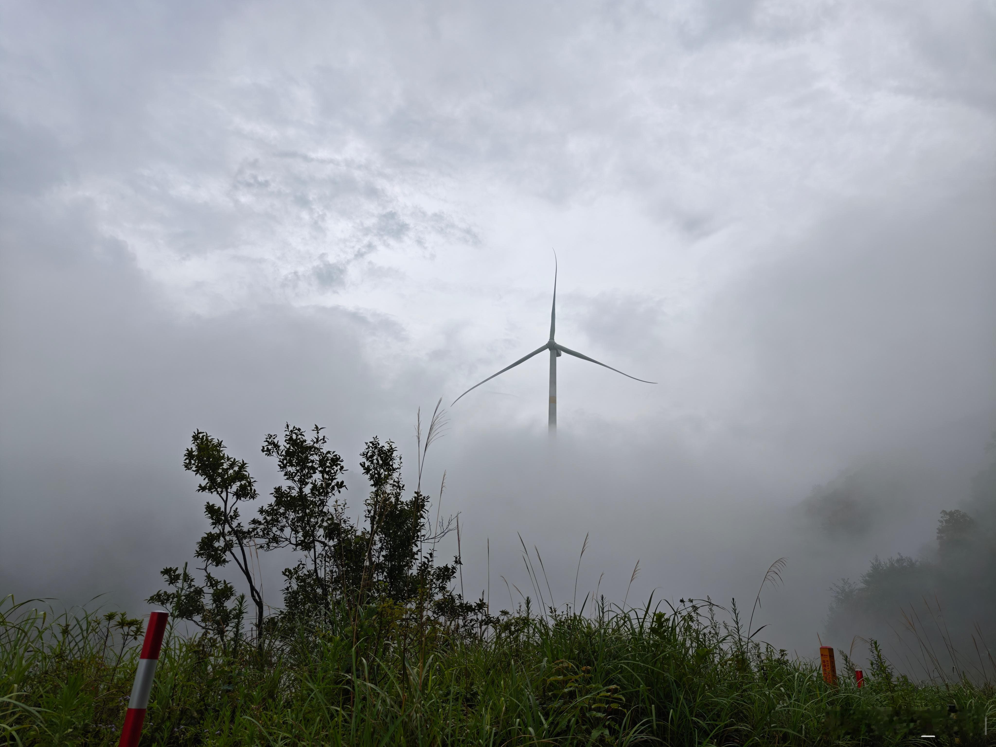 天气不似预期，山上好冷，避暑避过头了[允悲]  ​​​