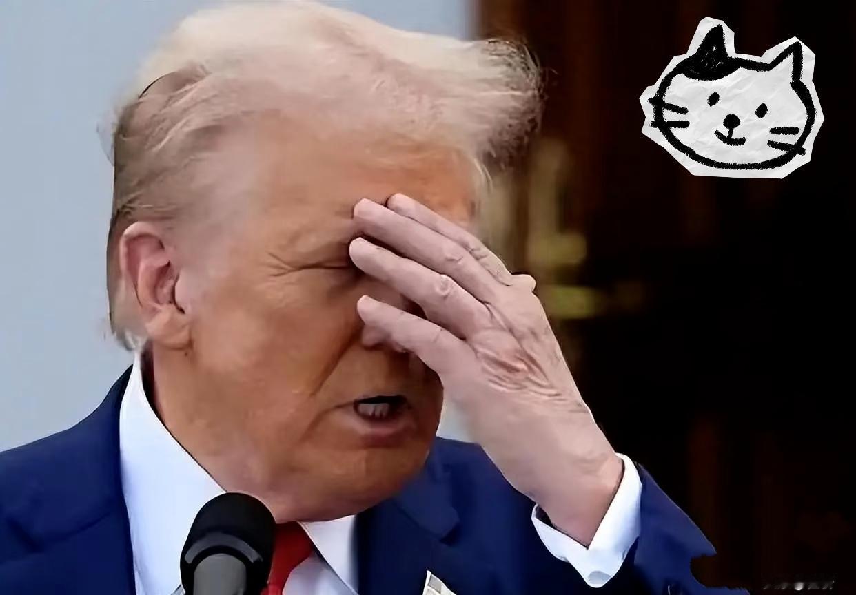 扣船不成反遭制，
美海权遇挑战！
2025年11月，美国特种部队在印度洋扣押一艘