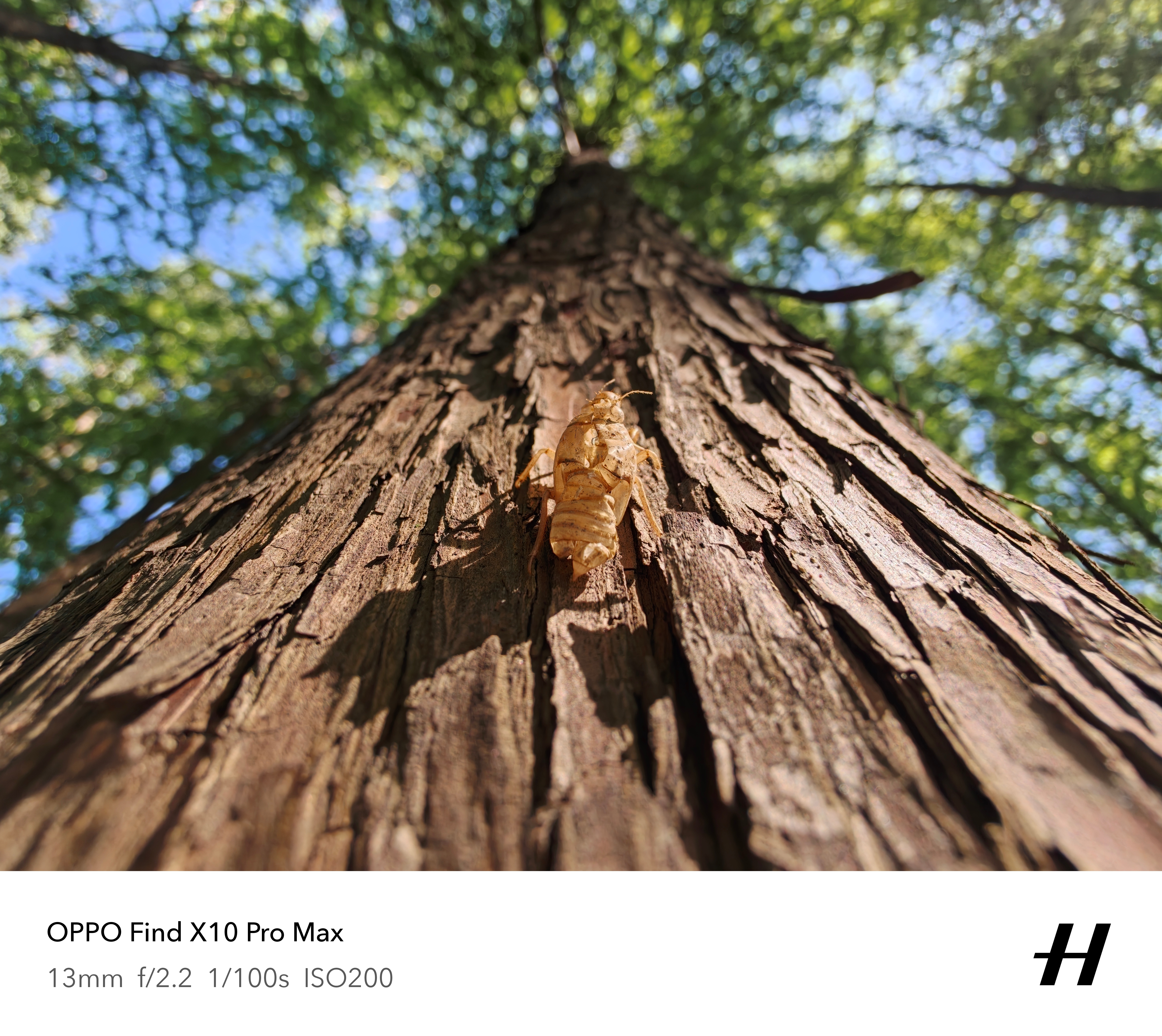 OPPO Find X10 Pro Max样片来了，超广角2亿像素，2亿像素长焦