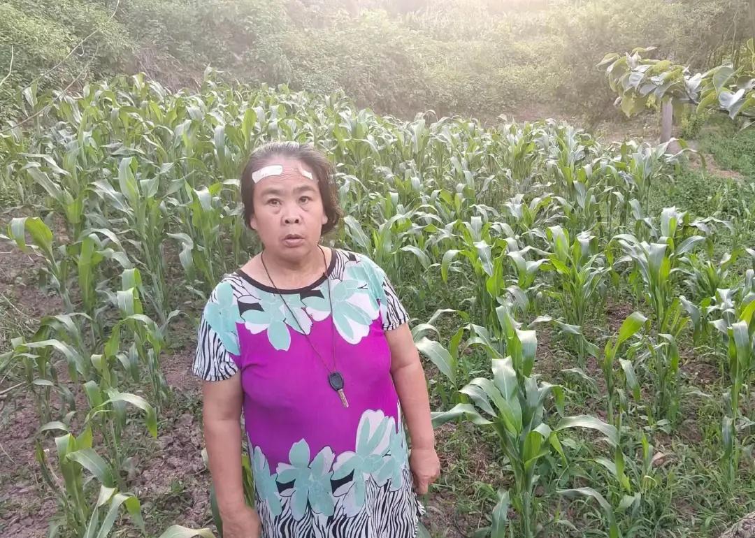 紧急寻人
宜宾李庄镇的人看过来！这位是我的妈妈，在今天下午天刚擦黑的时候从家里离