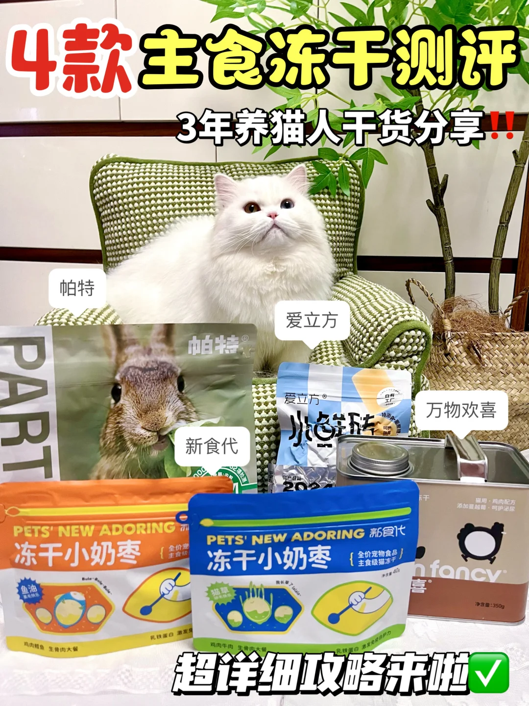 主食冻干干货测评｜3年养猫人无限回购款❗