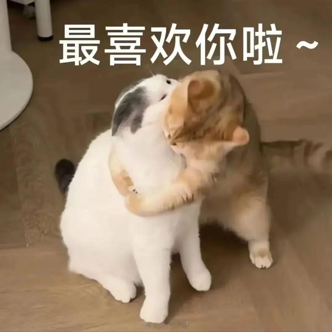 原来工匠的终极形态是肉身成尺 老木匠眯眼瞄过木料，手掌一量便知长短，指尖划过木痕