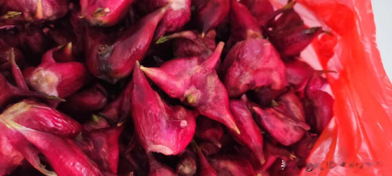 连续三周回来，心心念念想吃新鲜的水红菱。菜场上逛几圈，就是买不到称心的四角菱。不