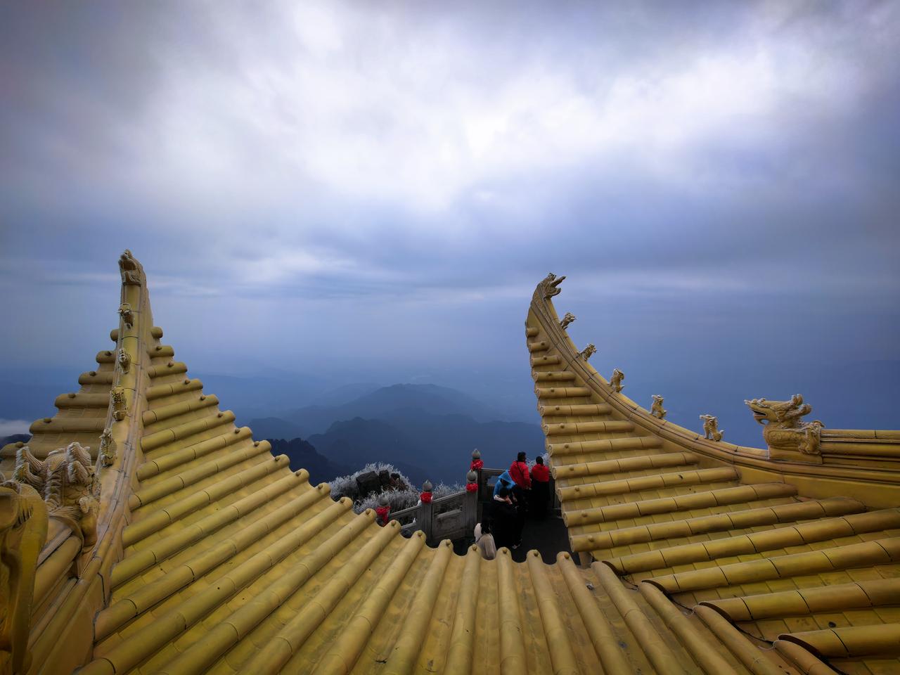 阳台的一盆小月季，我数了一下，竟然有31朵，花朵都压弯了枝头 。
    阳光透