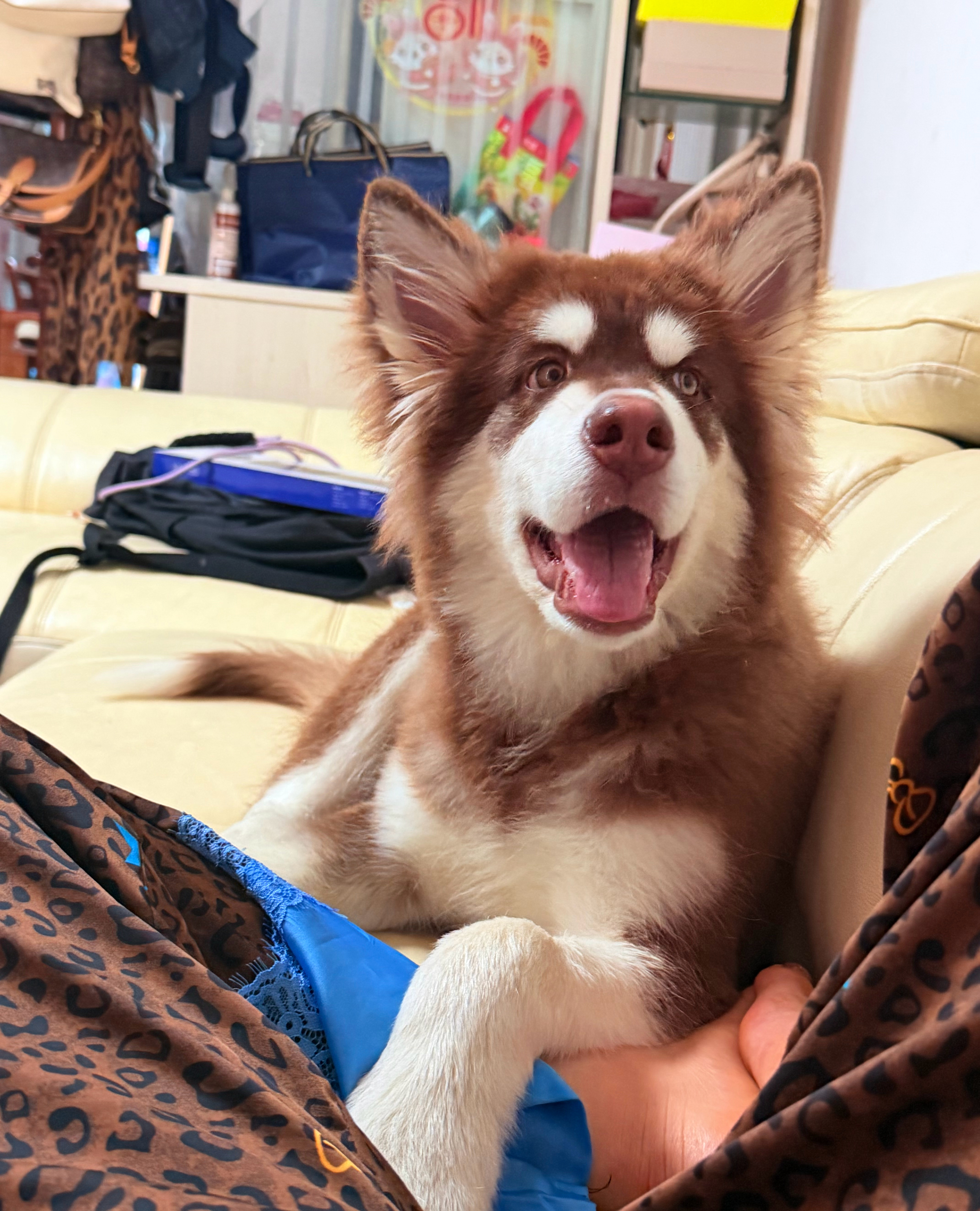 咋这么可爱呢(≧▽≦)❤️  ​​​