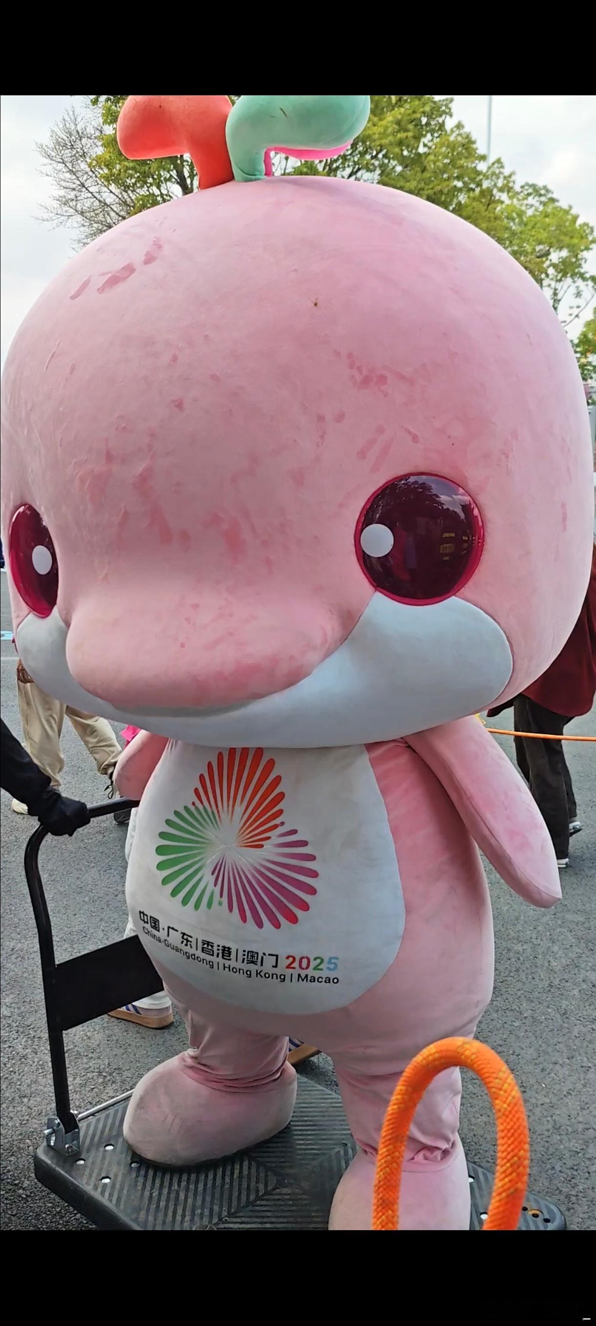 看不到皇帝新衣的是（ ） 