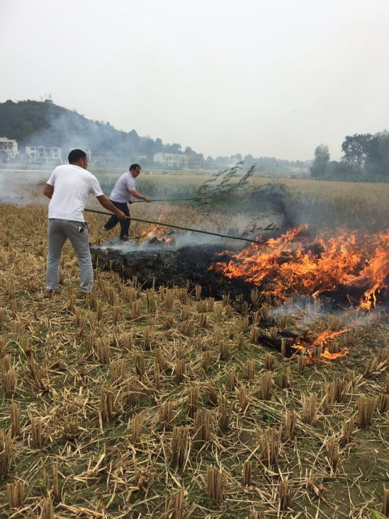 秸秆禁烧为什么引发农民抵触？有一事不明:据说光明日报主任董郁玉是日本间谍。他一直