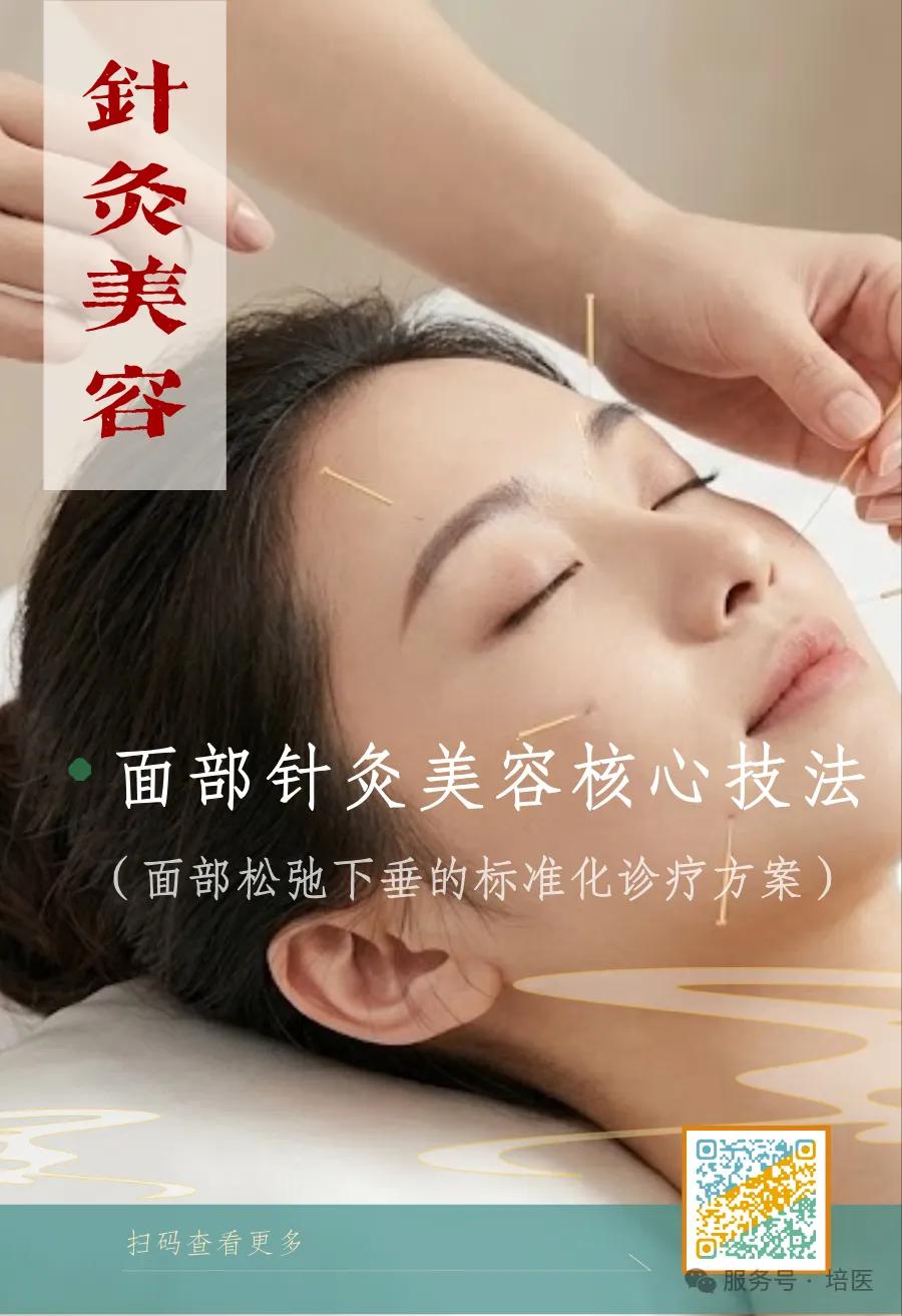 面部针灸美容核心技法
本方案构建了系统的“理-法-方-术”闭环。在逻辑层面上，其