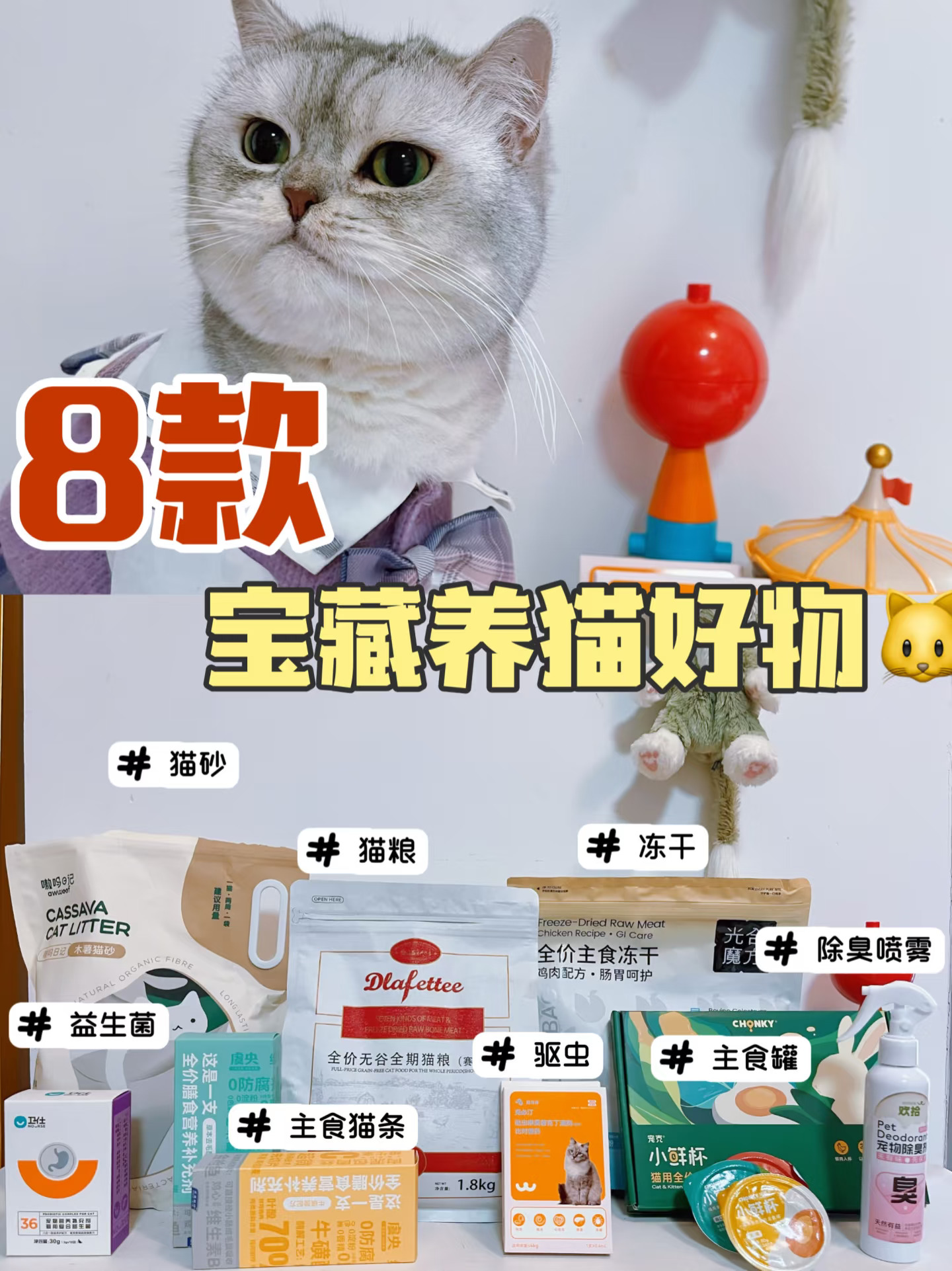 8款养猫宝藏好物推荐｜跟选不迷路