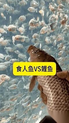 他提着一个沉甸甸的塑料桶，走到了河边。
周围空无一人，只有风吹过芦苇的声音。他没