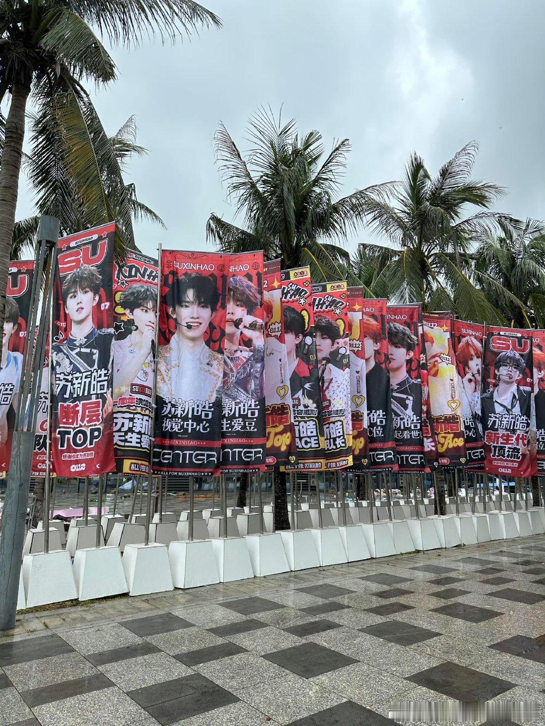 苏新皓一周年演唱会应援苏新皓海口演唱会应援椰风裹着灯海漫过海口，苏新皓应援排面拉