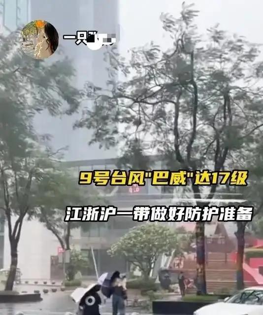 台风“巴威”不晓得有多大的危害？

没人能预判它最终会掀起多大的狂风，让原本安稳