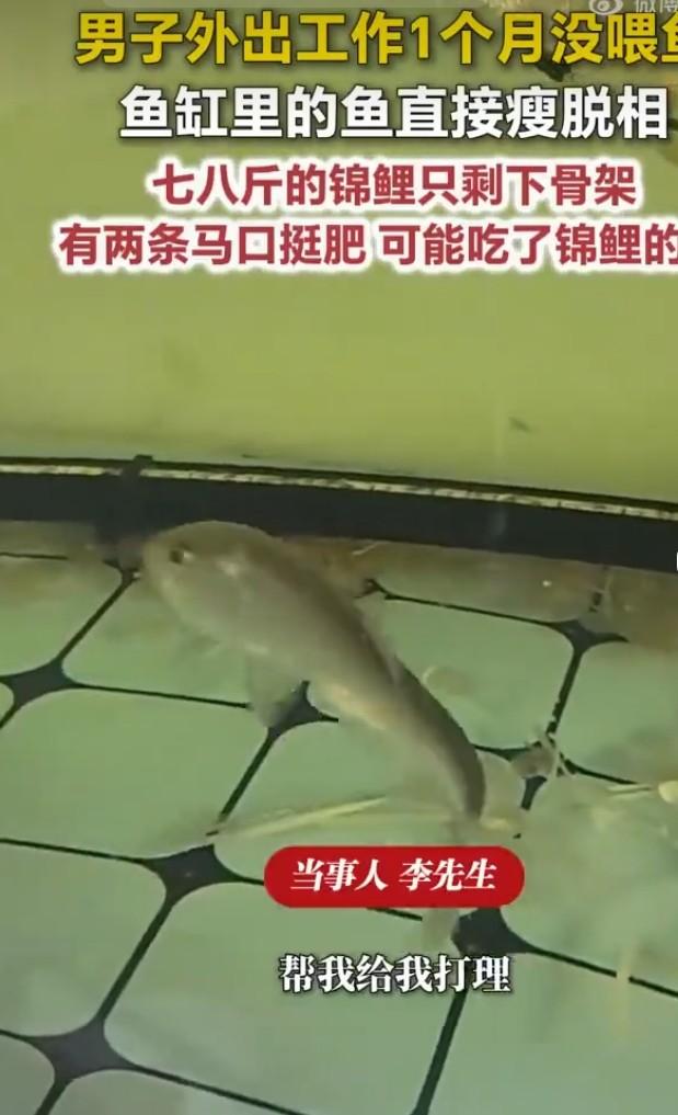 7月4日，山东临沂发生了一件让人哭笑不得的事儿。李先生去外地工作，把鱼缸交给小舅