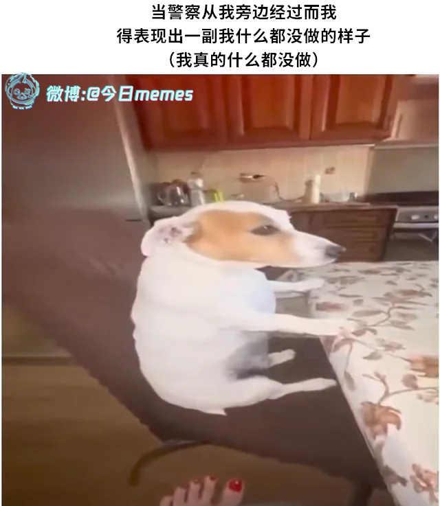 可鉴（9gag）今日meme今日memes