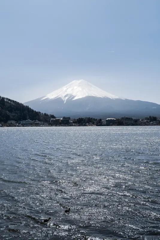 富士山沉睡300多年后真要“醒”了？日本内阁府都发布了富士山大规模喷发的模拟视频