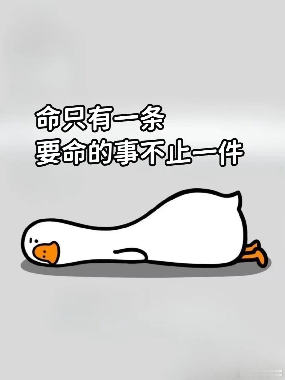 广东电价突然飙升深圳打工牛马的我直接破防了这年头真的太难了，房租、物价、电费轮番