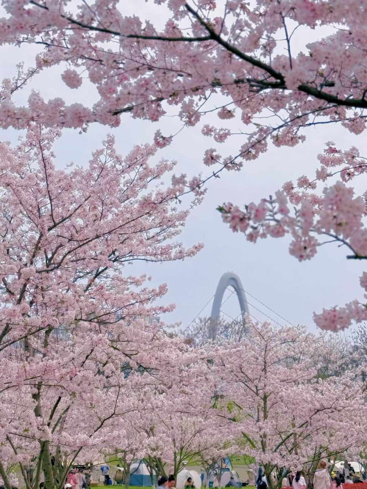 我的今日状态：😁轻松愉快
我这里的天气：☀️晴天