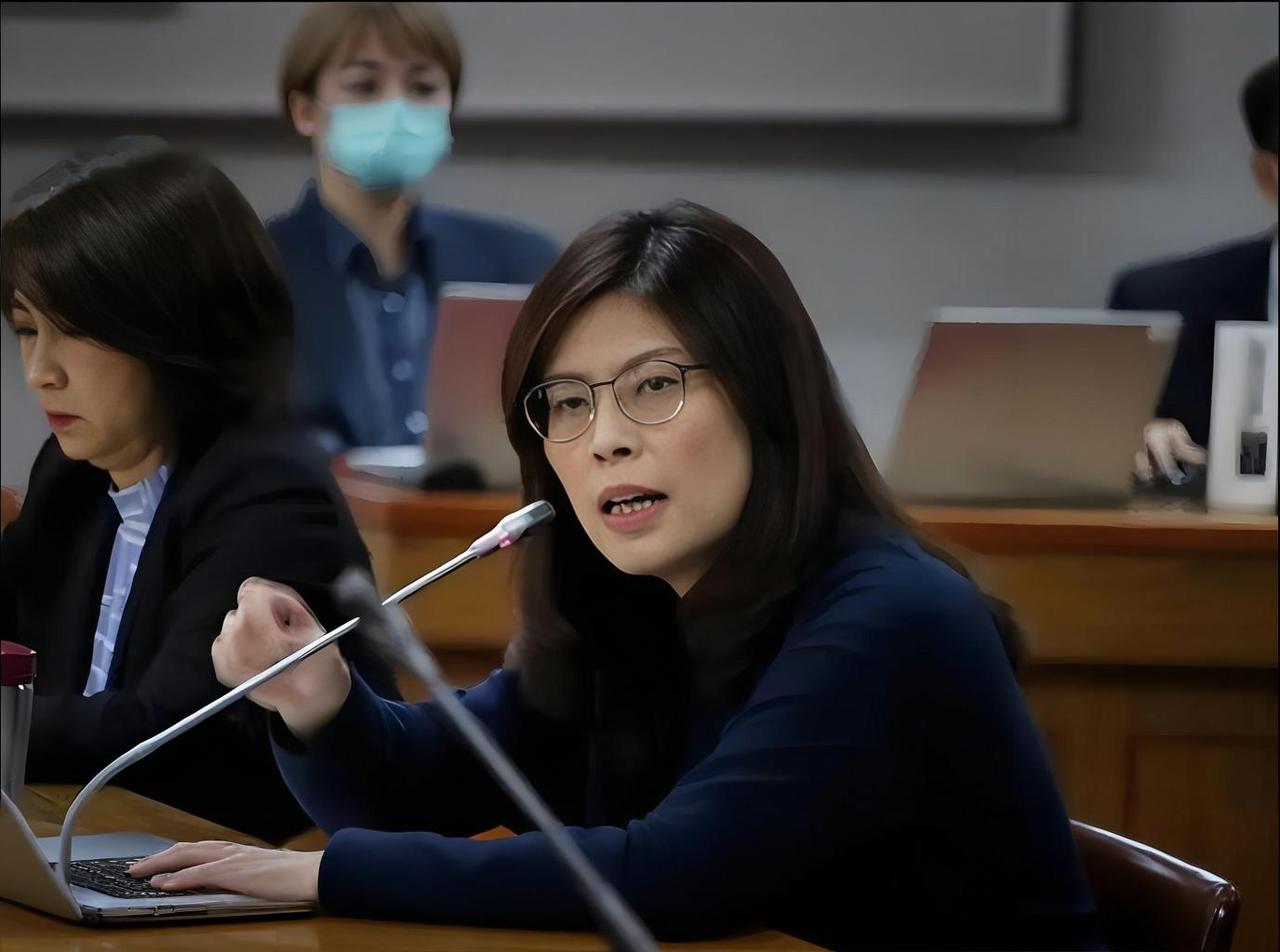 两岸再突发一件事情，郑丽文还没踏上赴美飞机，大陆突然发出警告。不简单！计划访美消